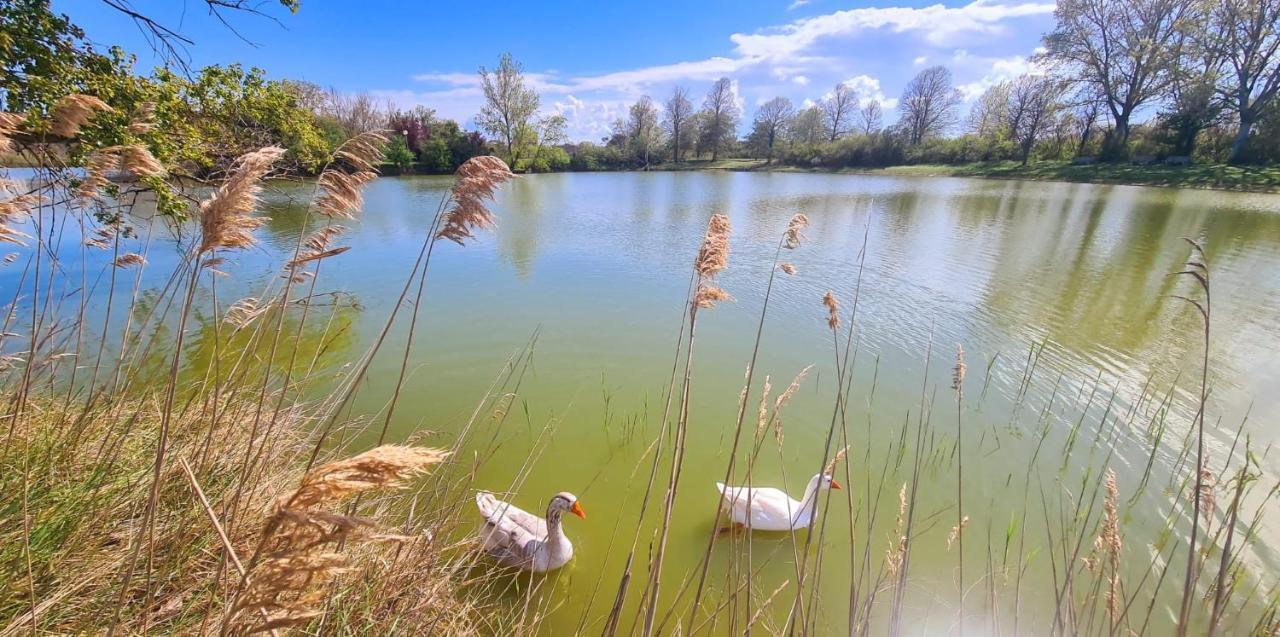 Hotel Sara*** Cesenatico Εξωτερικό φωτογραφία